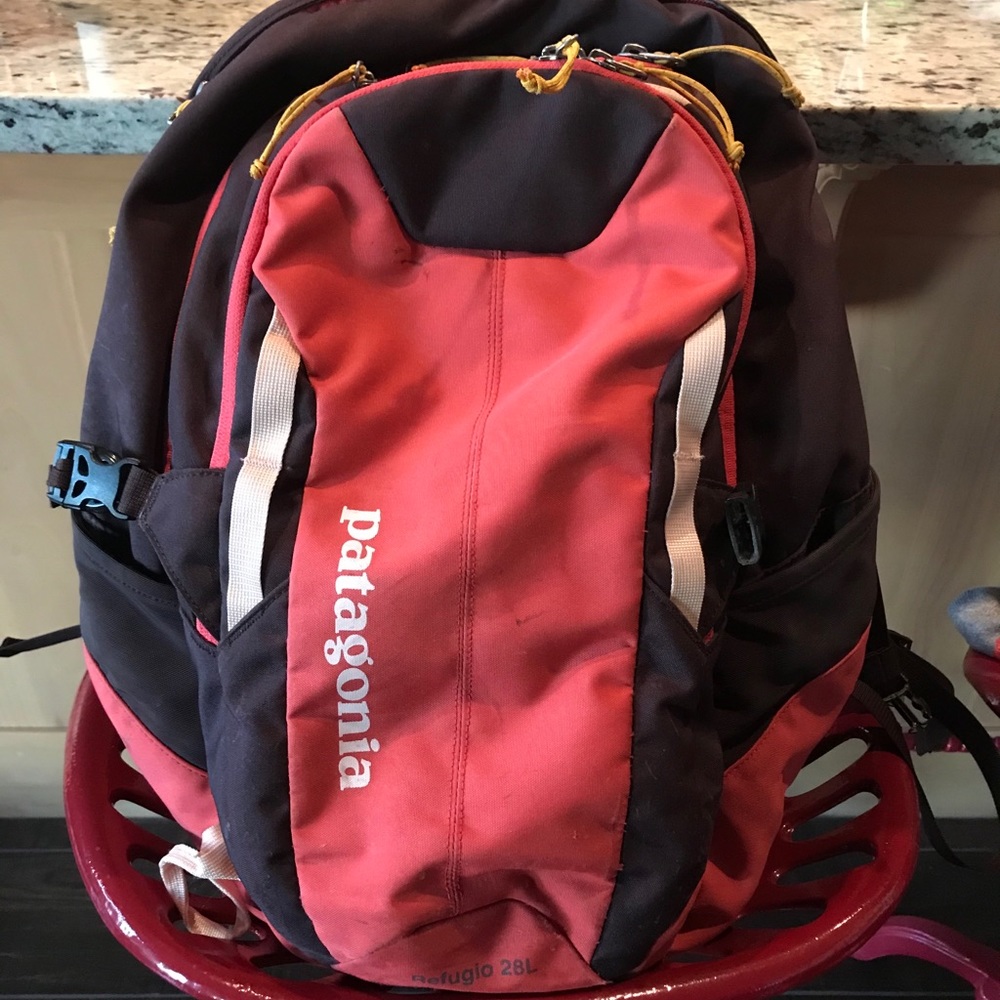 Patagonia Backpack